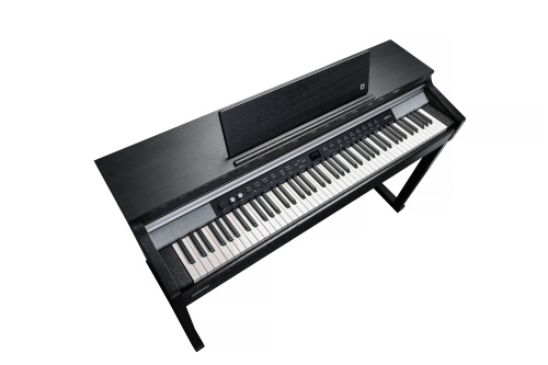 Kurzweil CUP P1 BK фото 3